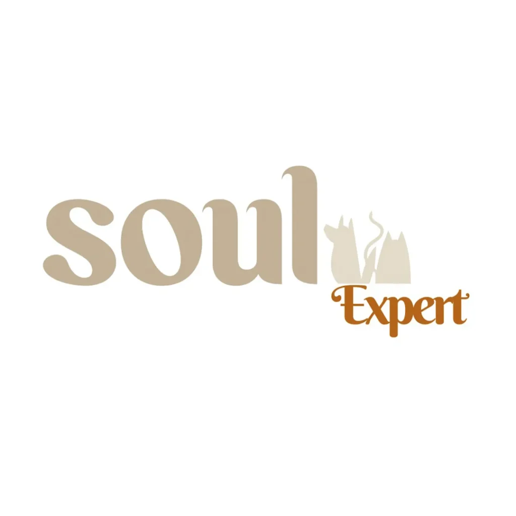 Soul Expert
